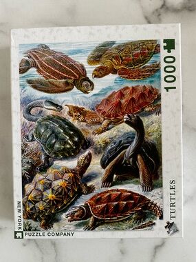 New York Puzzle Company - Turtles 1000 Piece Jigsaw Puzzle